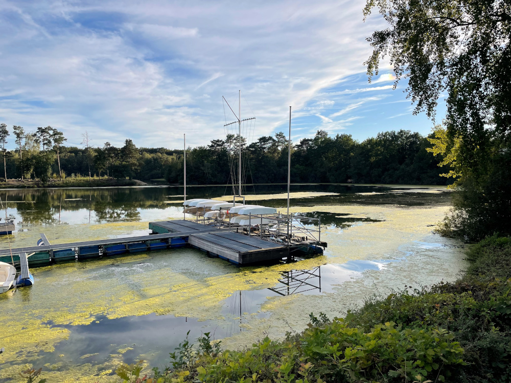 Steiner See: Boote und Grünzeug (25.9.2023; Foto: Henning Klare)