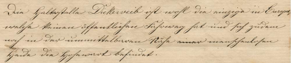 Brief an die "Königliche Direction der Westfälischen Eisenbahn zu Münster": Vorschlag, die Bahnstation Dickeweib zu verlegen (um 1865, Abschrift; Hiltruper Museum)