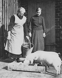 Leben in Hiltrup: Ein oder zwei Schweine gehörten zum Haushalt (um 1935; Foto: Hiltruper Museum)