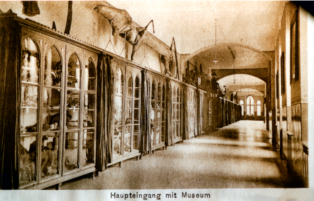 Kloster der „Missionare vom Heiligsten Herzen Jesu“ in Hiltrup: Haupteingang mit Museum (Foto um 1925, Hiltruper Museum)