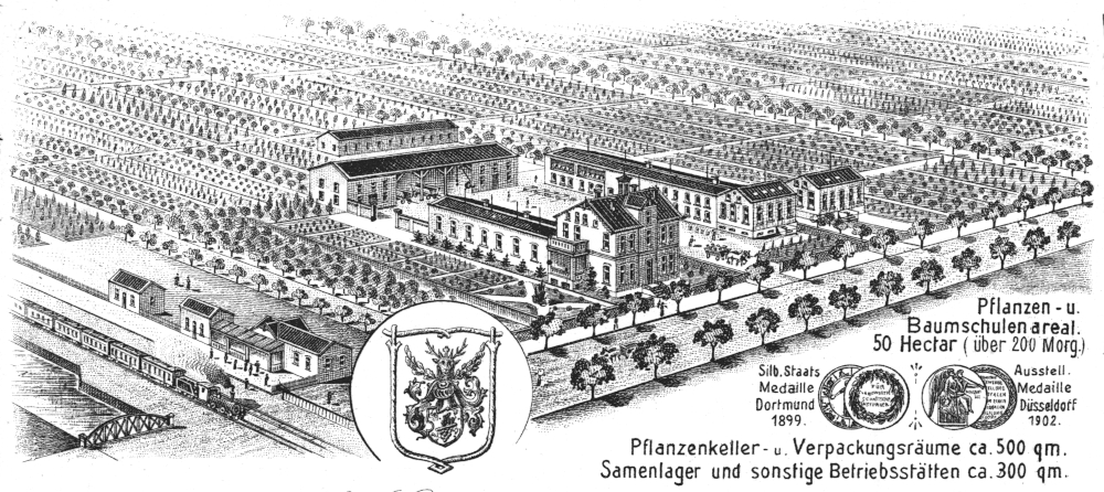 Das „Erste deutsche Forstkulturgeschäft von Gebr. Hanses“ südwestlich des Hiltruper Bahnhofs (1905, Rechnungsformular-Ausschnitt; Hiltruper Museum)