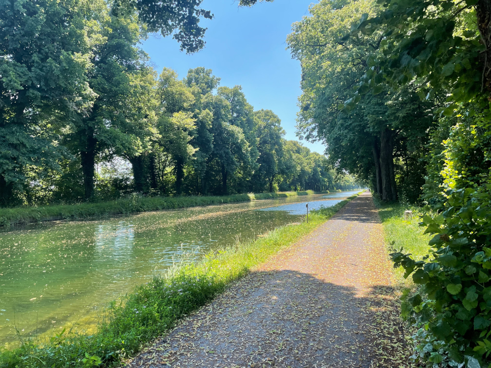 Rhein-Rhône-Kanal bei Gerstheim (24.6.2024; Foto: Henning Klare)