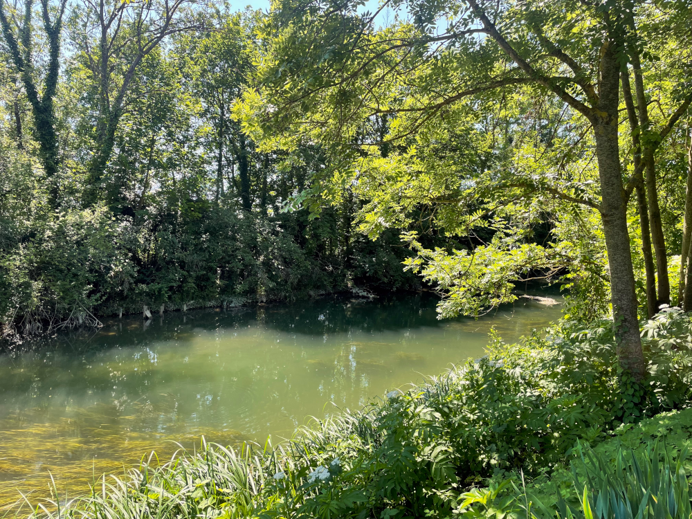 Artzenheim: Stiller Weg am Rhein-Rhône-Kanal (24.6.2024; Foto: Henning Klare)