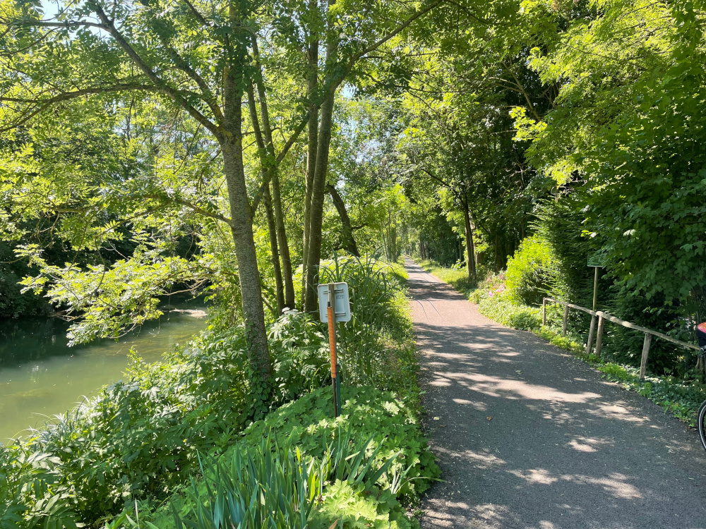 Weiter geht's am Kanal entlang bei Artzenheim (25.6.2024; Foto: Henning Klare)