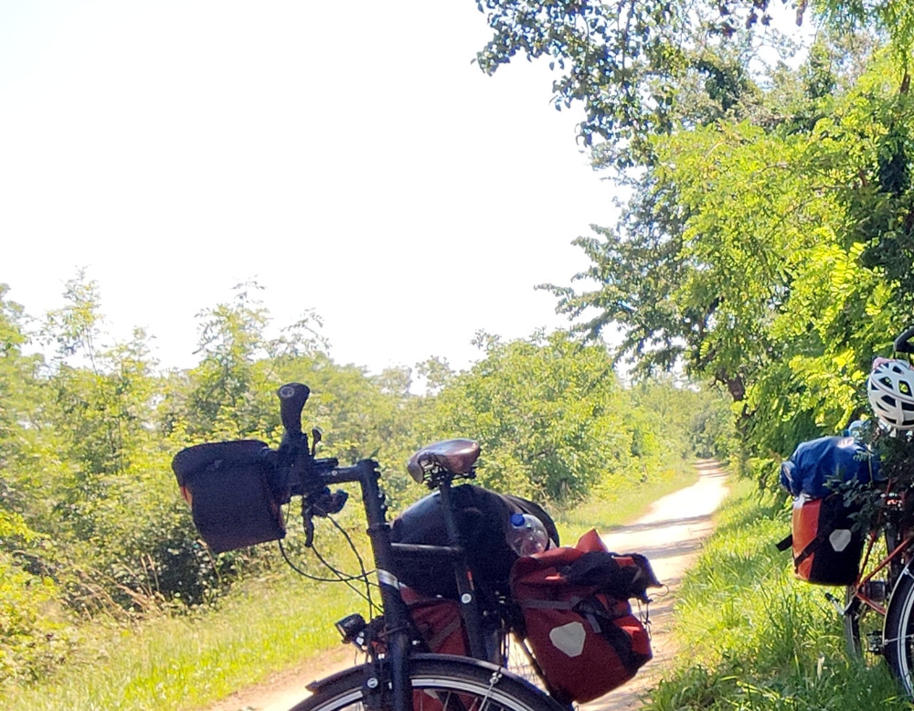 Es ist heiß! Pause bei Biesheim am Kanal (25.6.2024; Foto: Henning Klare)