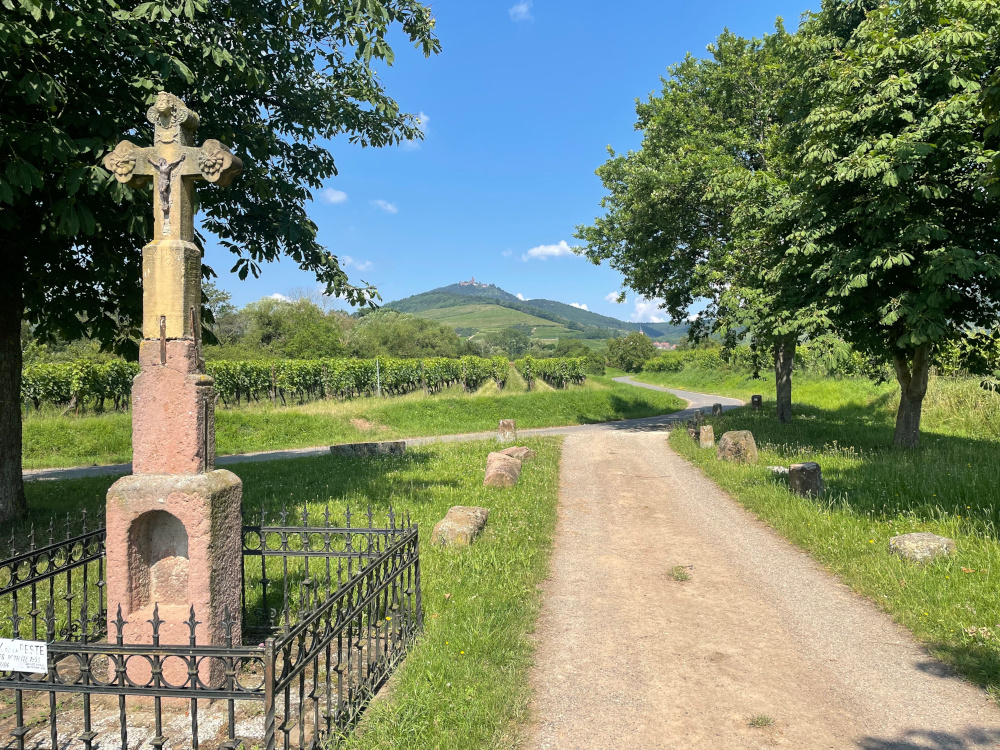 Pestkreuz bei Saint-Hippolyte (27.6.2024; Foto: Henning Klare)