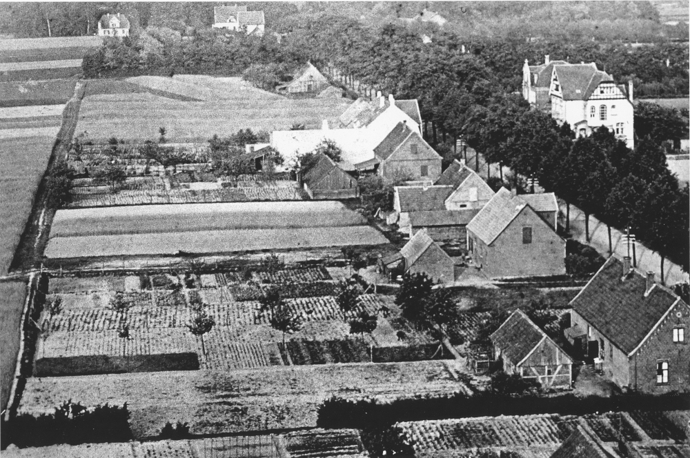 Blick von St. Clemens nach Osten auf die Bahnhofstraße (heute Marktallee): Oben rechts die Häuser Nr. 52 und 54, gegenüber mit hellem Giebel die Bäckerei Klostermann (1913; Foto: Hiltruper Museum)