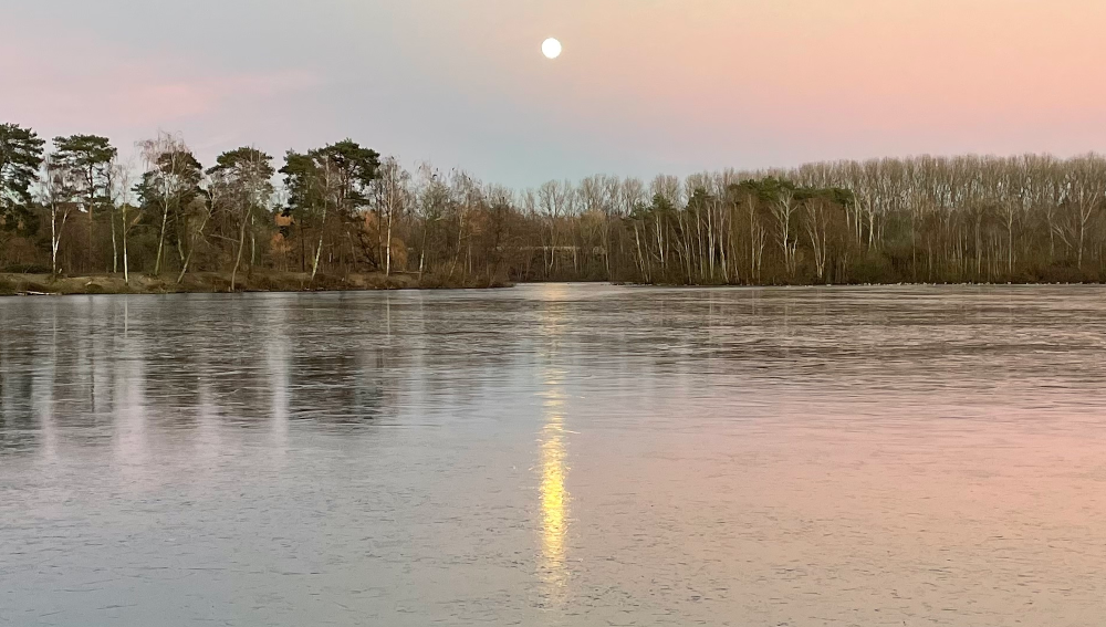 Eisige Dämmerung: 13.1.2025, 16.57h am Steiner See (Foto: Henning Klare)