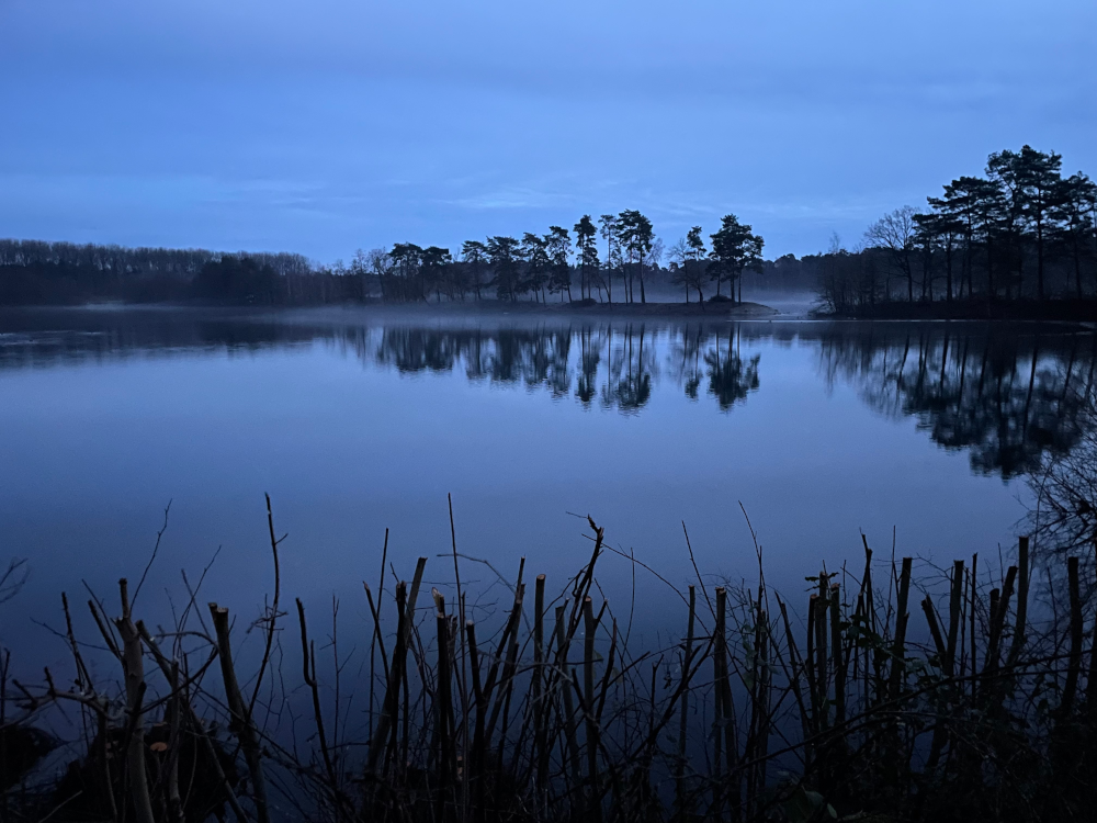 Steiner See: Blick auf die Landzunge zwischen den See-Teilen (25.1.2025; Foto: Henning Klare)