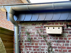 Selbstgebautes Spatzenhaus für drei Nistparteien (26.4.2025; Foto: Henning Klare)