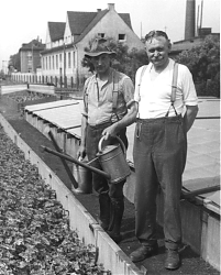 Bahngärtnerei Hiltrup (um 1940, im Hintergrund die Verwaltung des Röhrenwerks und das Haus Industriestr. 4/6. Foto: Hiltruper Museum, Bearbeitung: Henning Klare)