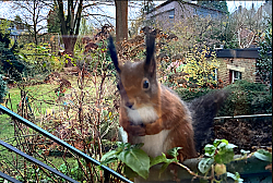 Molly ist wieder da! (29.11.2025, Foto: Klare)
