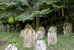 Jüdischer Friedhof in Sulzburg (8.5.2026, Foto: Henning Klare)