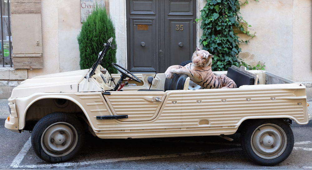 Im Dorf ist der Tiger los (Foto: Klare)