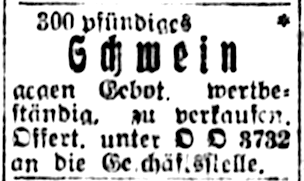 Wertbeständiges Schwein (Münsterischer Anzeiger 29.11.1923, Bearbeitung: Henning Klare)