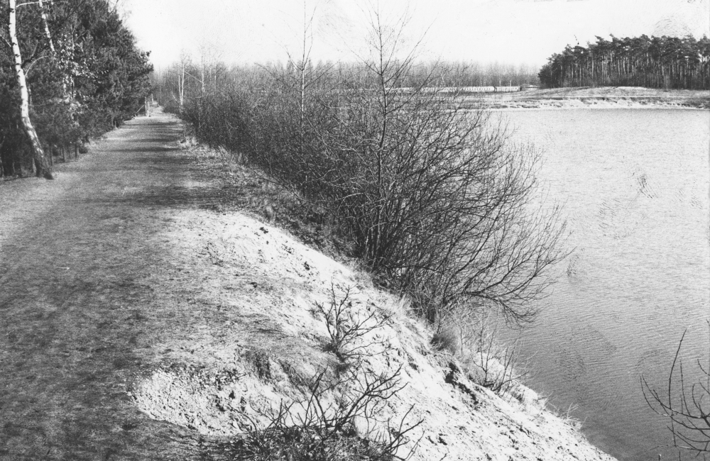 Blick von Westen auf den Schenckingsee. Im Hintergrund die Brachfläche, dahinter ein Zug auf der Eisenbahnstrecke (um 1968, Foto: Hiltruper Museum, Bearbeitung: Henning Klare)