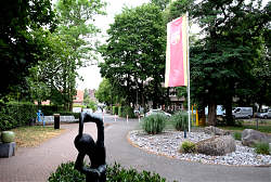 Das Hiltruper Museum: Grüne Oase im Zentrum (7.7.2026, Foto: Henning Klare)