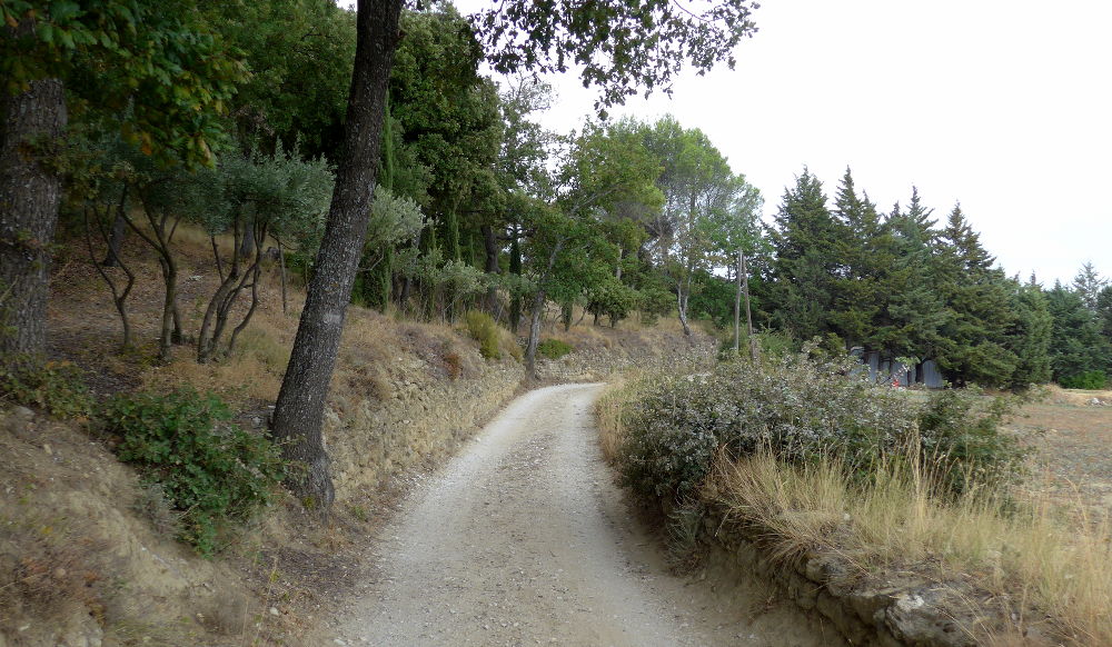 Wanderweg abseits der Straße (Foto: Klare)