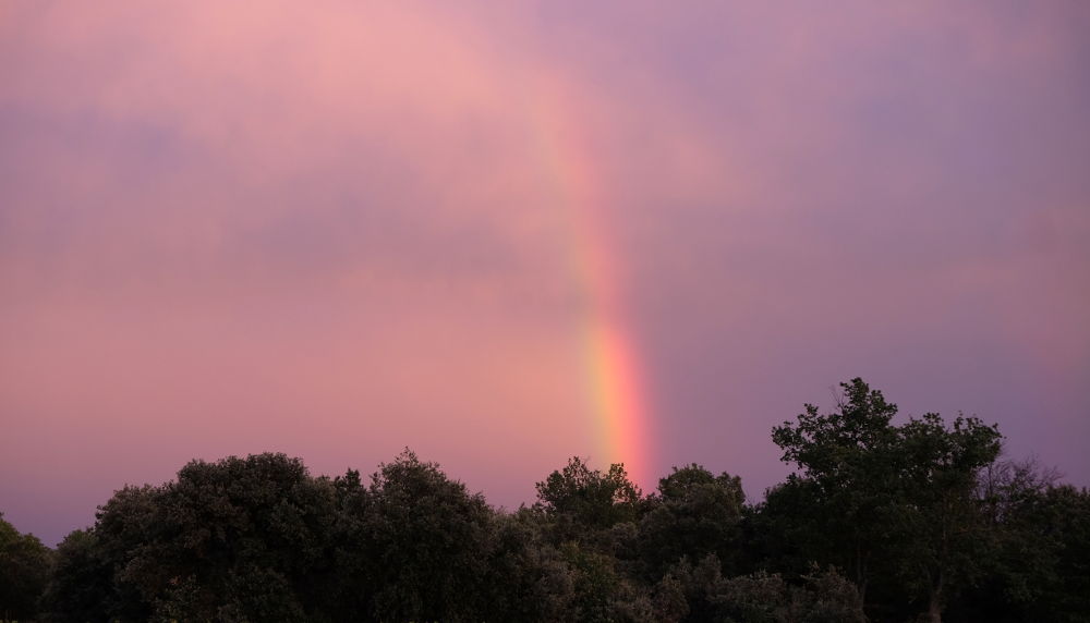 Regenbogen über Trockenland (Foto: Klare)