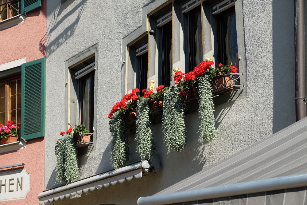 Staufen: Fassade im Ortskern (Foto: Klare)