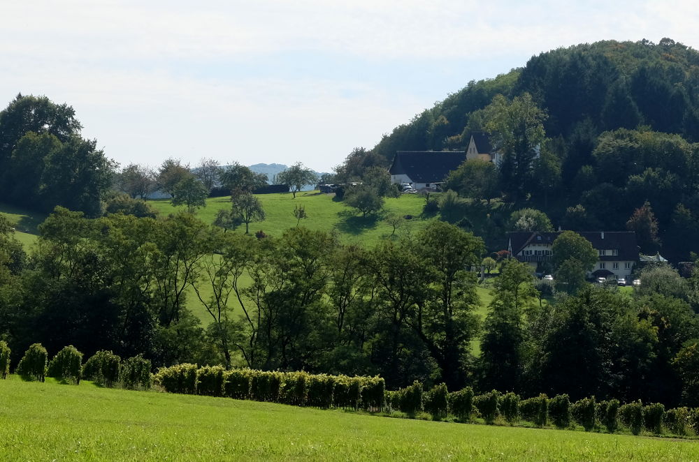 Der Castellberg zwischen Sulzburg und Ballrechten (Foto: Klare)