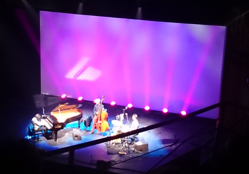 Vadim Neselovskyi Trio in Münsters Großem Haus (7.1.2018; Foto: Klare)