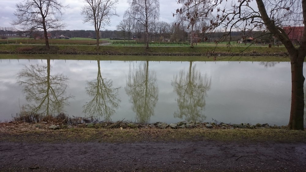 Alles grau und trotzdem überall Farbe: Kanal bei Hiltrup (21.1.2018; Foto: Klare)