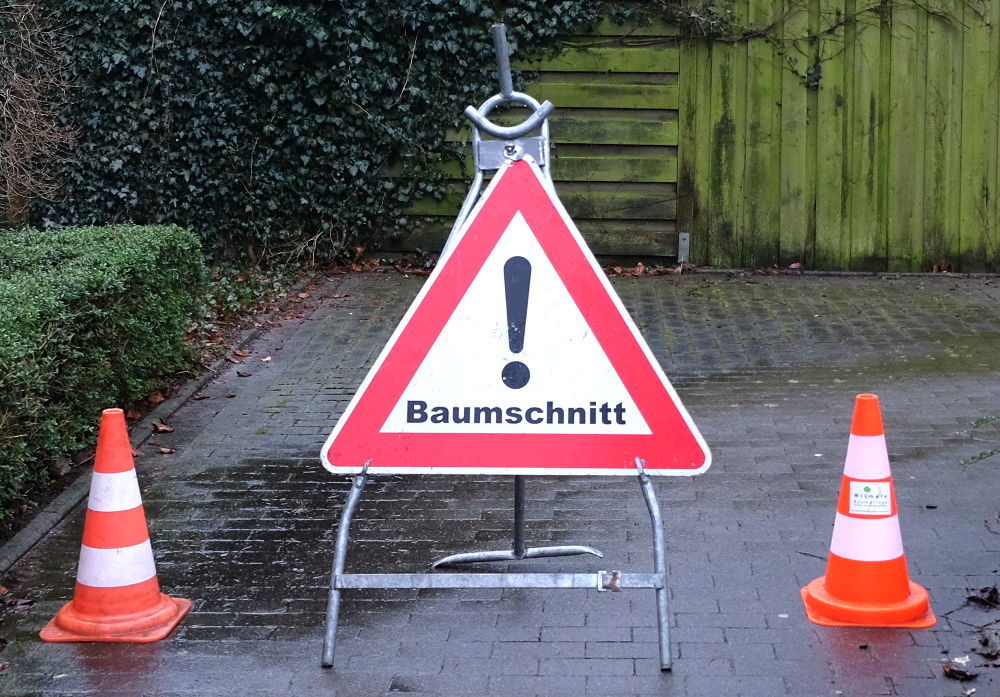 Gesperrt wegen Baumfällung (22.1.2018; Foto: Klare)