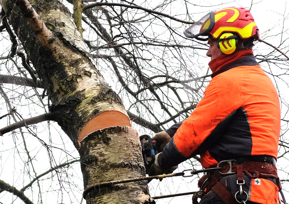 Jetzt trägt  die Kette des Krans die Last (22.1.2018; Foto: Klare)