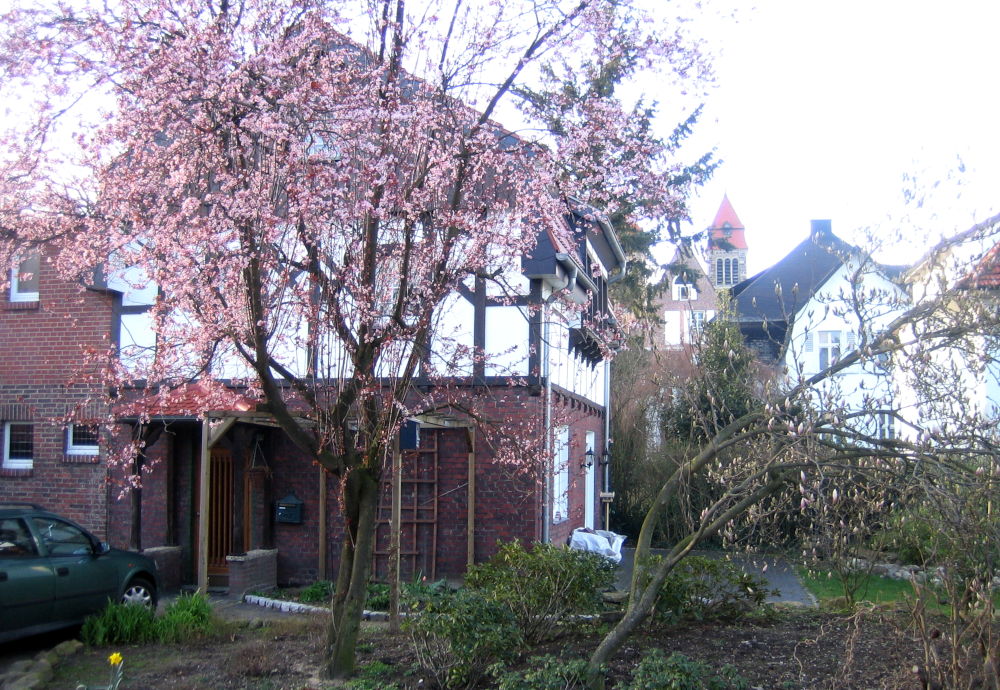 Am Klosterwald 6A von Süden gesehen, rechts im Bild Nr. 6, dahinter Nr. 4 (18.3.2008; Foto: Henning Klare)