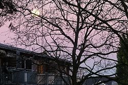 "Supermond" - in Hiltrup zu sehen (20.1.2019; Foto: Klare)