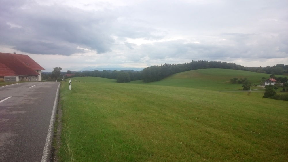 Auf dem Höhberg hinter Kißlegg (21.7.2018; Foto: Klare)