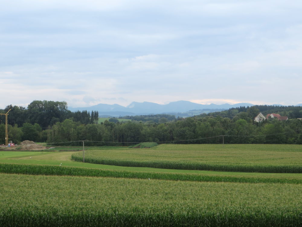 Panorama kurz hinter Wangen: Die Berge in Sicht (21.7.2018; Foto: Meyerbröker)