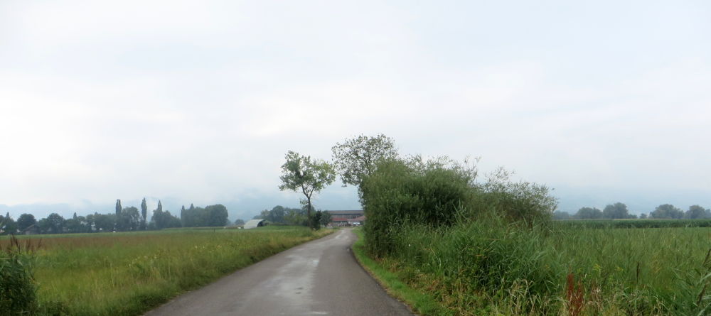 Stille Landschaft im Abseits (23.7.2018; Foto: Meyerbröker)