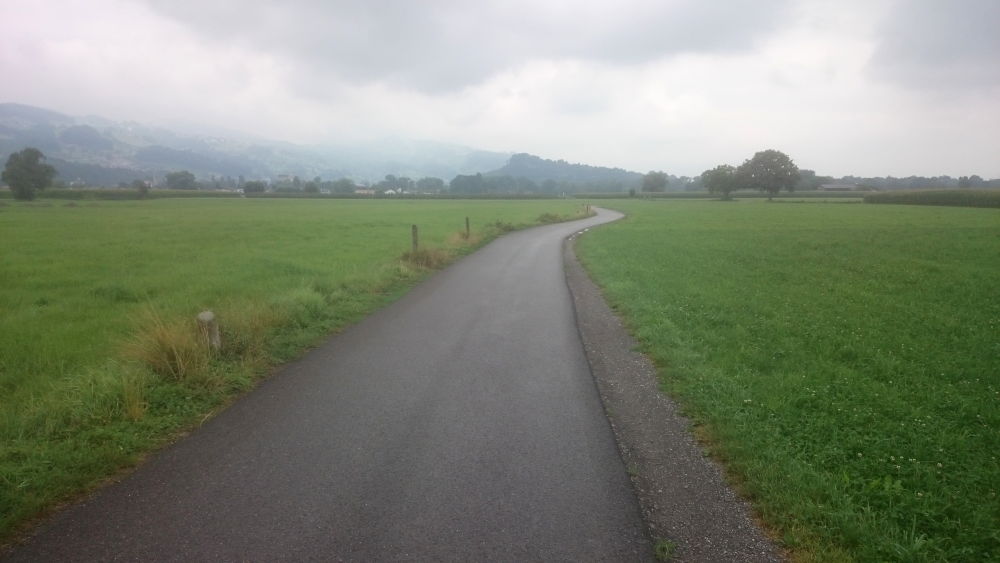 Auf dem Weg zum Alten Rhein (23.7.2018; Foto: Klare)