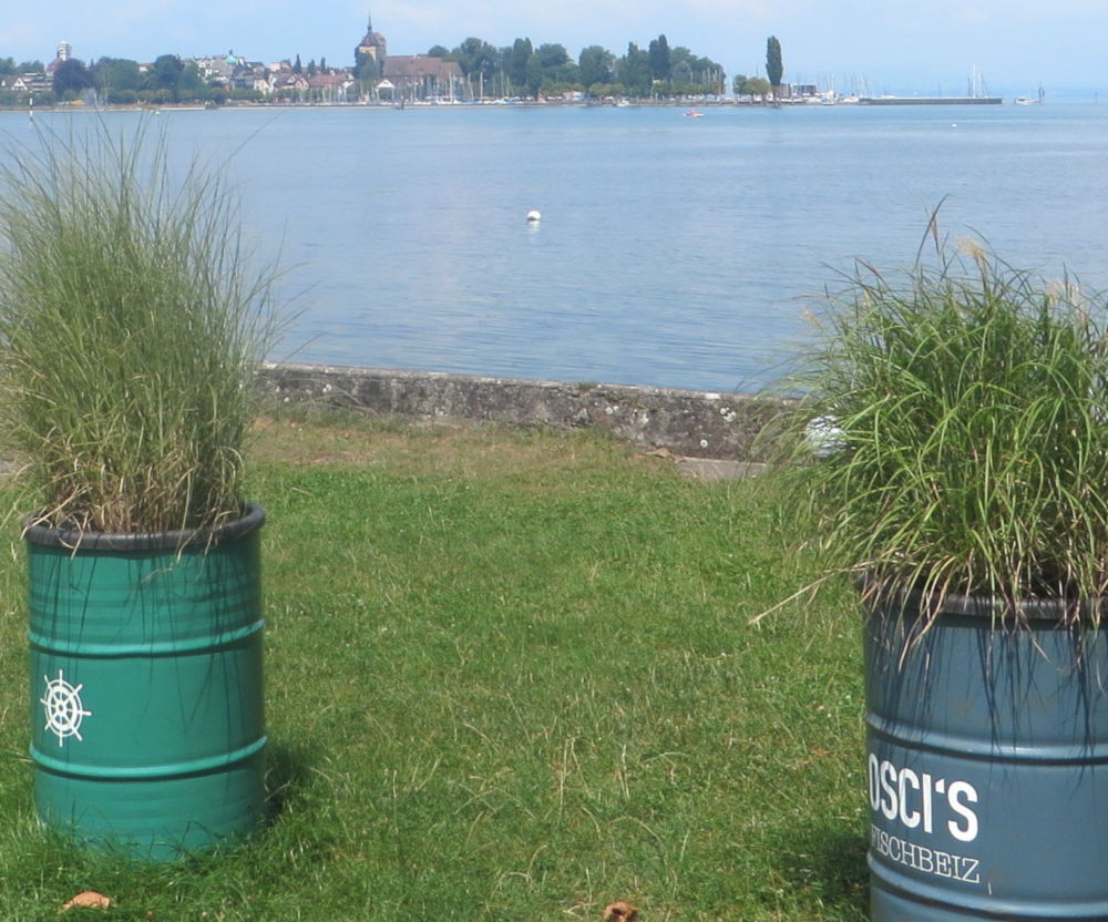 Grün mit Fischbeiz (23.7.2018; Foto: Meyerbröker)