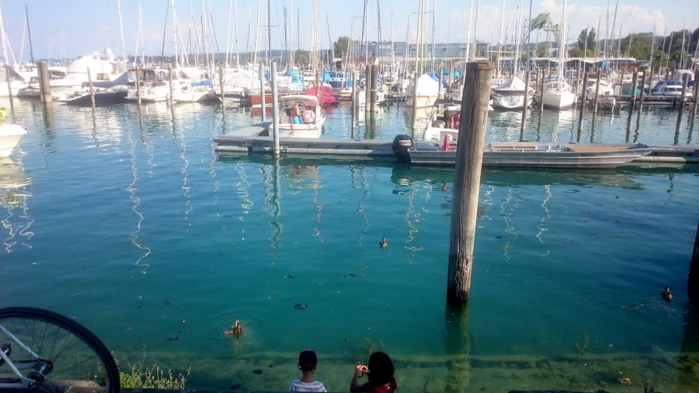 Konstanz: Kinder am Hafen (24.7.2018; Foto: Klare)